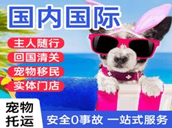 甘孜康定机场邮寄国际宠物托运 【国